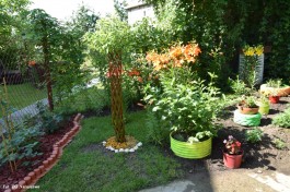 Ogródek_Krajewska_2021 (13)