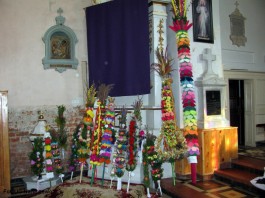 Ocena palm_2015 (1)