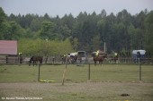 Zawody TREC PTTK_12.05 (6)