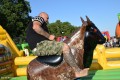 Festyn Rodzinny w Krysku_24.08 (84)