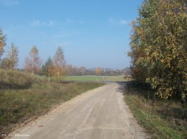 Krysk droga_18.10 (9)