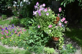 Ogrody_Kaniewska_2020 (16)