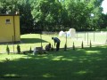 Zagospodarowanie terenu przestrzeni publicznej w centrum wsi Naruszewo_2013 (16)