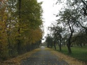 Przebudowa drogi gminnej w Kozarzewie_2012 (9)