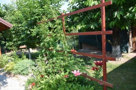 Ogródek_Jabłoński_2021 (1)