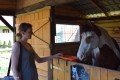 Zawody TREC_12_13 (77)