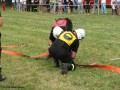 Zawody sportowo_pożarnicze w Zaborowie_12.07.2015r. (245)