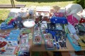 Ekologiczny piknik rodzinny_21_05_2023 (3)