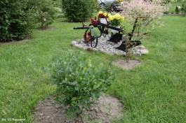 Ogrody_Ambroziak_2020 (4)