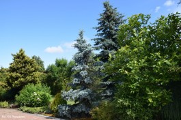 Ogrody_Dumińska_Kierska_2020 (19)