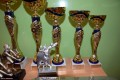 Międzyszkolny turniej piłki siatkowej_2016 (95)