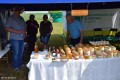 VII Turniej Ekologiczny_10.06.2017r (24)