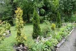 Ogrody_Sarzała_2020 (18)