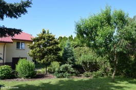 Ogrody_Dumińska_Kierska_2020 (11)