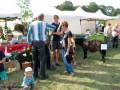 I Festiwal Sołectw_14.09.2014r. (174)