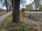 Wodociąg_Krysk_18_10_2021 (3)