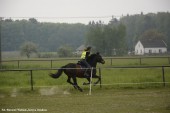 Zawody TREC PTTK_12.05 (11)