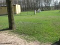 Zagospodarowanie terenu przestrzeni publicznej_przed realizacją (10)