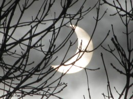 Zaćmienie słońca_04.01.2011r. (2)