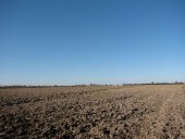 Jesień Ewelina Piątkowska1