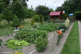 Ogrody_Piekut_2020 (29)