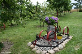 Ogrody_Ambroziak_2020 (28)