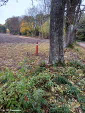 Wodociąg_Krysk_18_10_2021 (1)