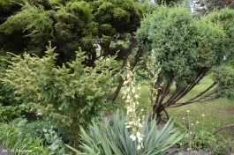 Ogrody_Sarzała_2020 (26)