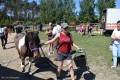 Zawody TREC_12_13 (44)