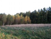 Gminne pejzaże - Naruszewo (13)