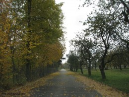Przebudowa drogi gminnej w Kozarzewie_2012 (9)