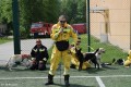 Ewakuacja SP Naruszewo_Na ratunek_20.05 (86)