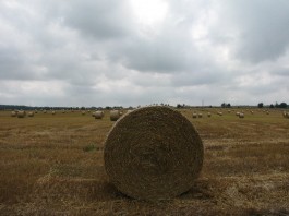 Lato Ewelina Piątkowska