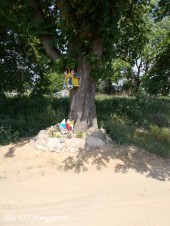 Przebudowa drogi żwirowej w miejscowości Łazęki  (11)