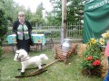 Dożynki w Naruszewie_v (35)