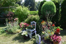 Ogródek_Śmietanowska_2021 (9)