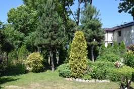 Ogródek_Śmietanowska_2021 (11)