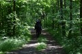 Zawody TREC_12_13 (38)