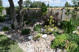 Ogrody_Krysiewicz_2020 (7)