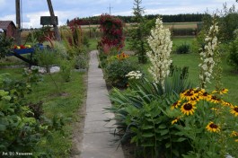 Ogrody_Ambroziak_2020 (20)