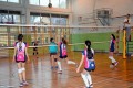 Międzyszkolny turniej piłki siatkowej_2016 (39)