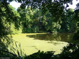 Gminne pejzaże - Krysk (1)