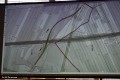 Spotkanie informacyjne dot. S10_15_05_2024 (75)