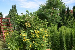Ogródek_Grzegorek_2020 (18)