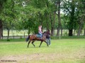 Festyn rodzinny w Krysku_02.06.2012r. (34)