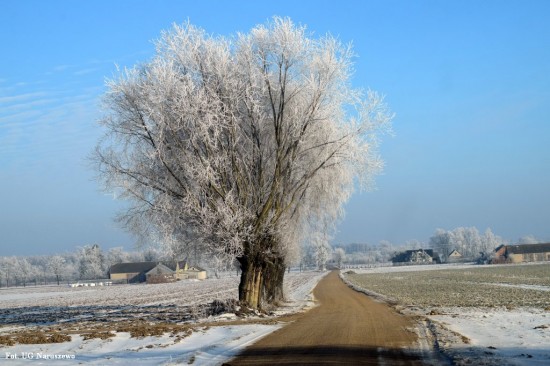 Zima_szron_16_02_2021 (36)