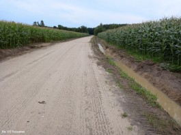Przebudowa drogi w Grąbczewie_24_08_2021 (9)