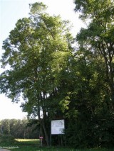Obszary_i_obiekty_chronione_013