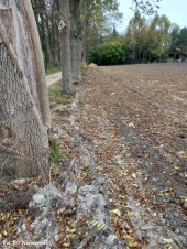 Wodociąg_Krysk_18_10_2021 (5)