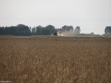 Gminne pejzaże - Skwary (7)